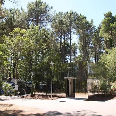 Taxo Les Pins 4*