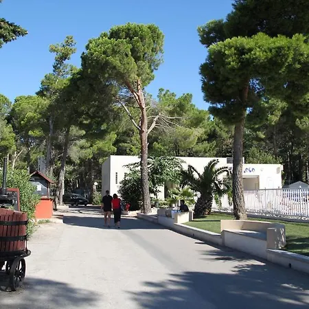 Taxo Les Pins Campsite 4*