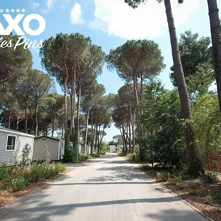 Taxo Les Pins