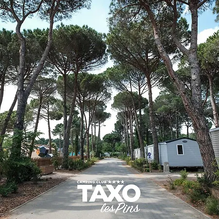 Taxo Les Pins Кемпинг 4*