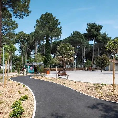Taxo Les Pins