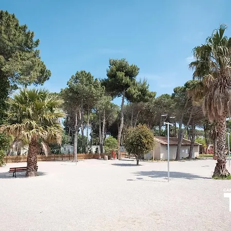 Taxo Les Pins