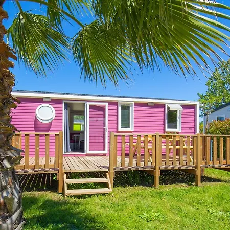 Taxo Les Pins Argeles-sur-Mer