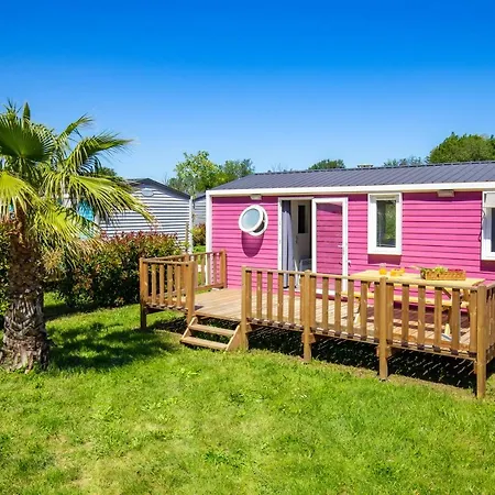 Kamp alanı Taxo Les Pins Argelès-sur-Mer