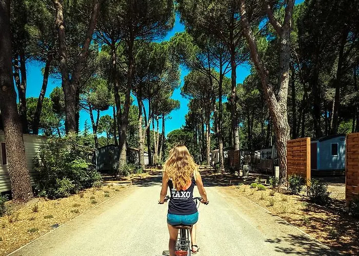 Taxo Les Pins 4* Argelès-sur-Mer