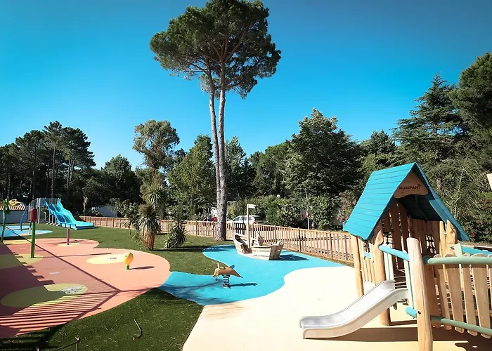 Taxo Les Pins Argelès-sur-Mer