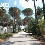 Taxo Les Pins