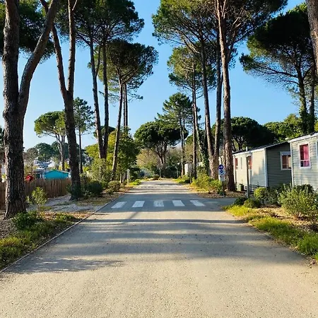 Κάμπινγκ Taxo Les Pins
