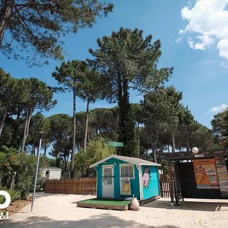 Taxo Les Pins Кемпинг