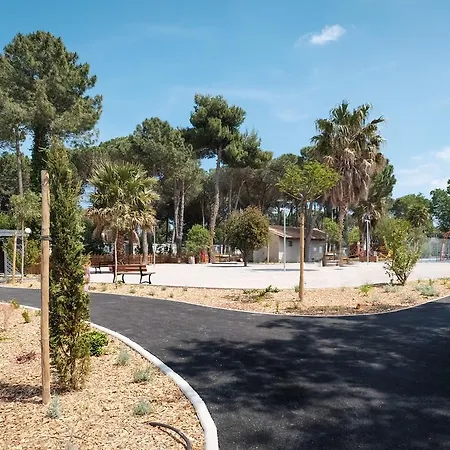 Taxo Les Pins