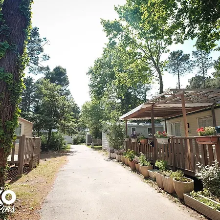 Taxo Les Pins 4* Аржель-сюр-Мер