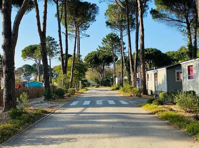 Parque de Campismo Taxo Les Pins